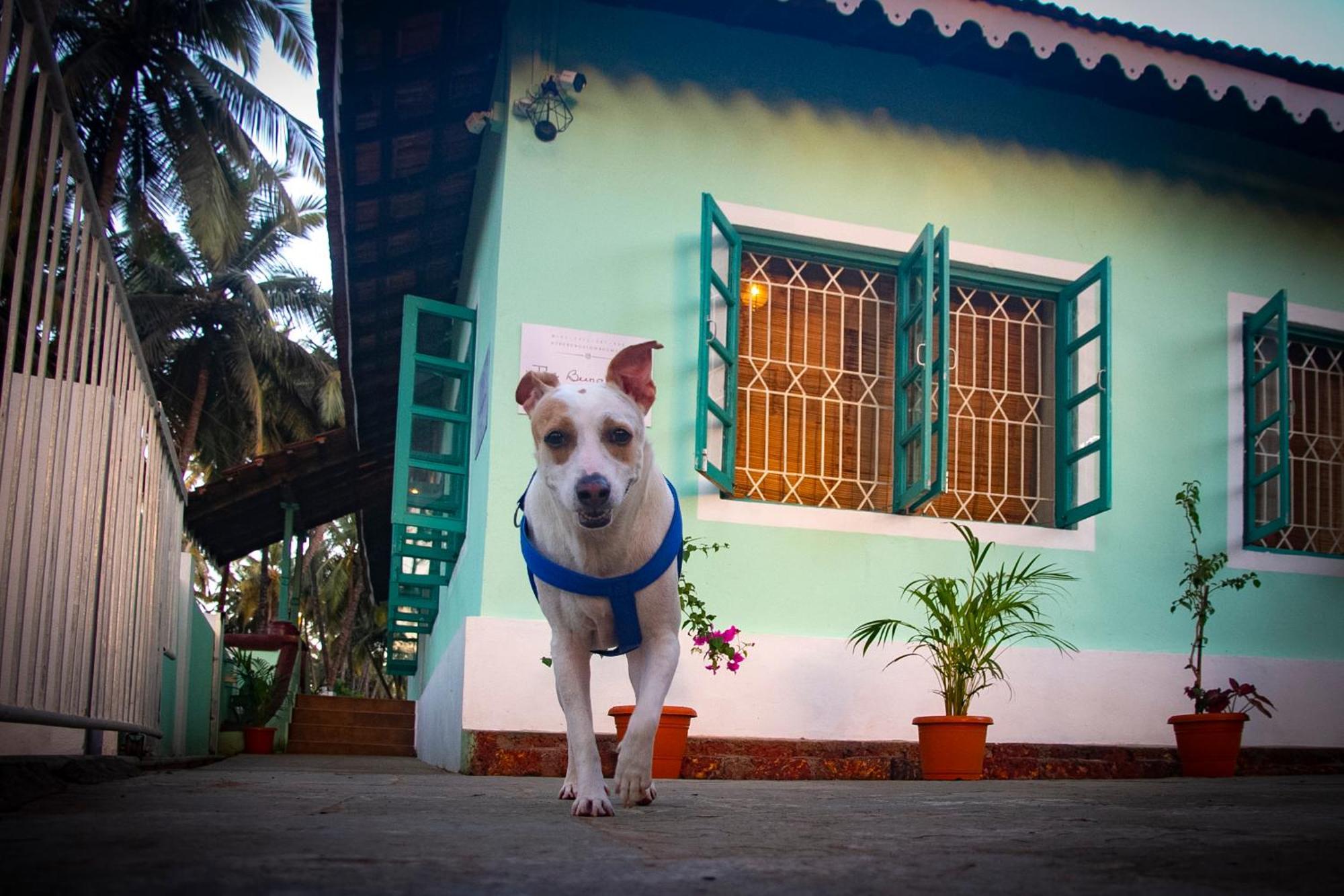 The Bungalow Bogmalo An 1880 Indo Portuguese Heritage Beach Villa South Goa Exteriér fotografie