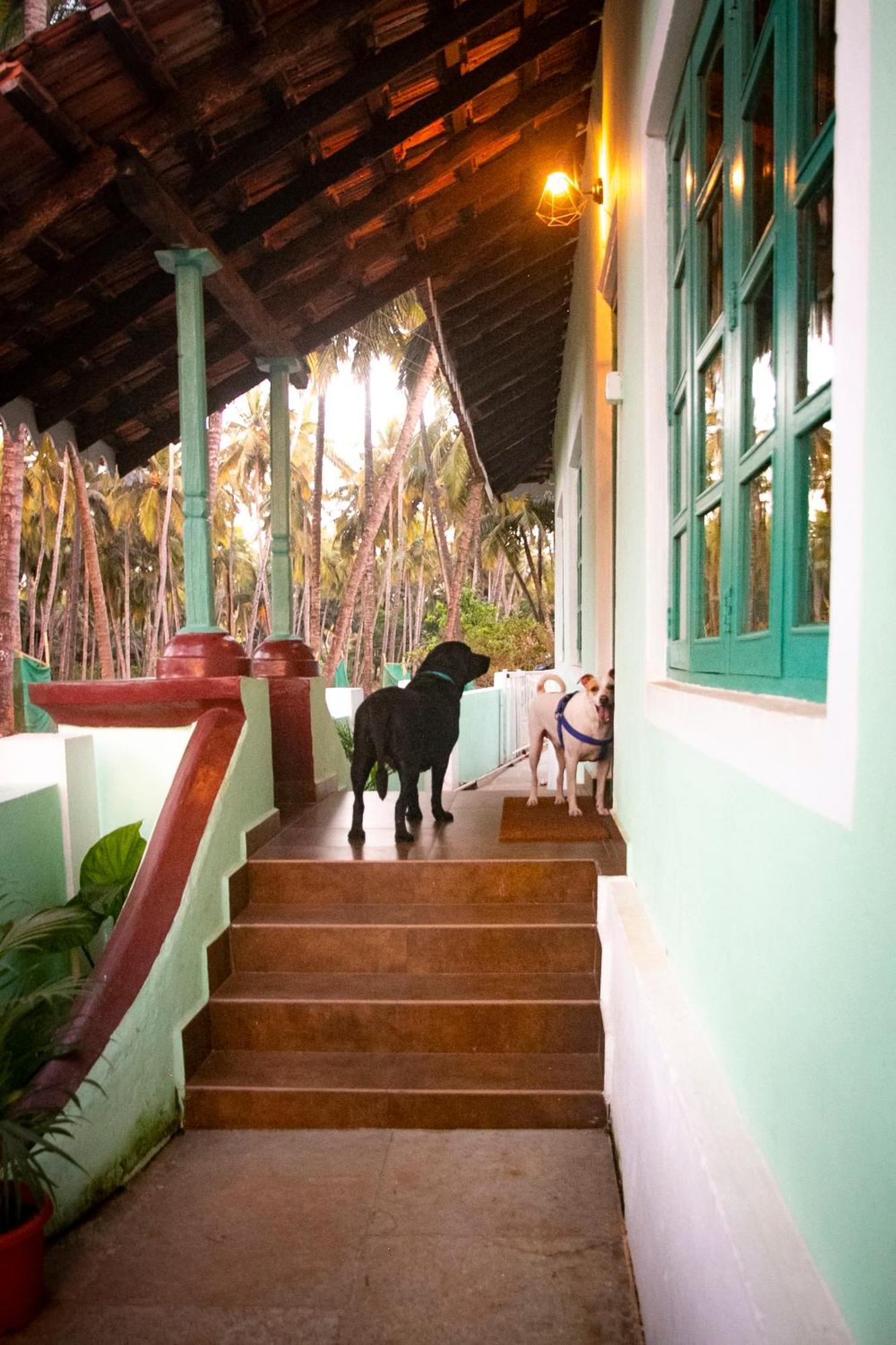 The Bungalow Bogmalo An 1880 Indo Portuguese Heritage Beach Villa South Goa Exteriér fotografie